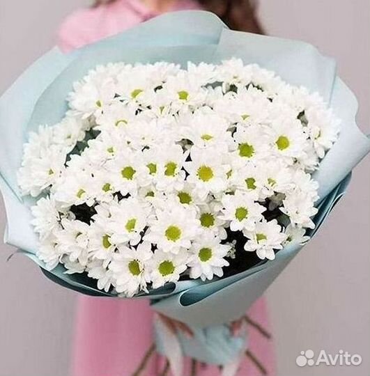 Хризантема Доставка цветов Букеты