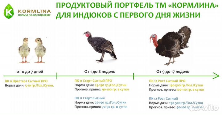 Корм для цыплят