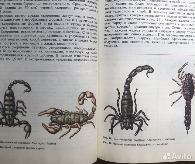 Ядовитые животные и растения СССР. 1990