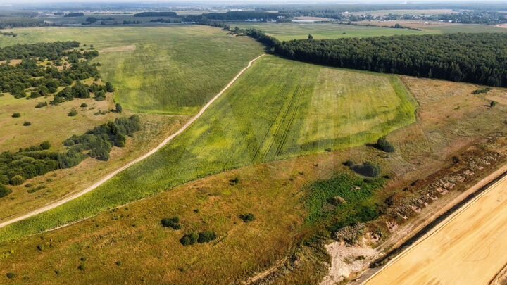 Участок 11 га (СНТ, ДНП)