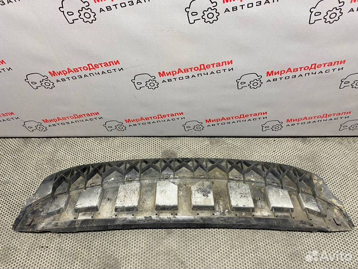 Защита бампера переднего Skoda Rapid 2013