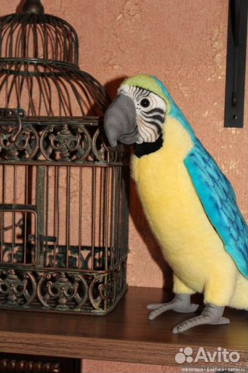 Попугай фирмы Hansa