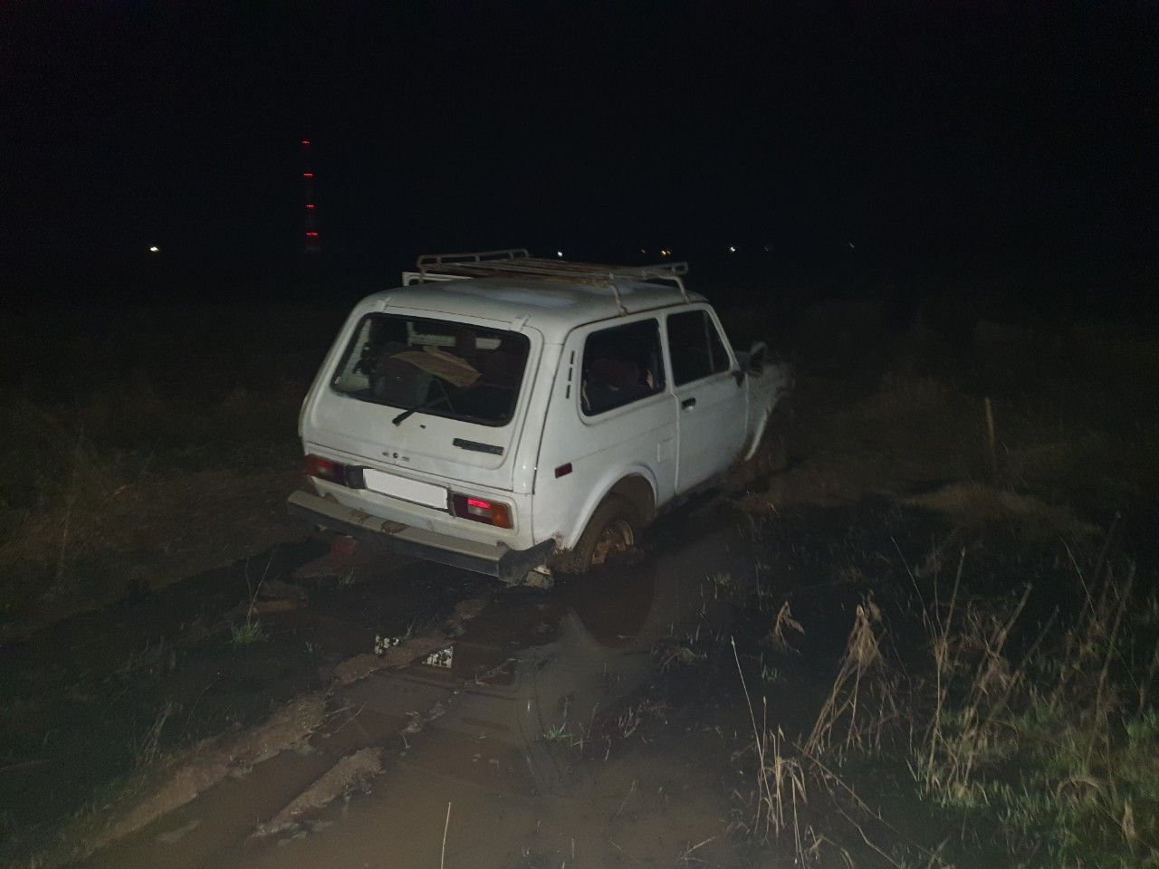 ВАЗ (LADA) 4x4 (Нива): фото владельца