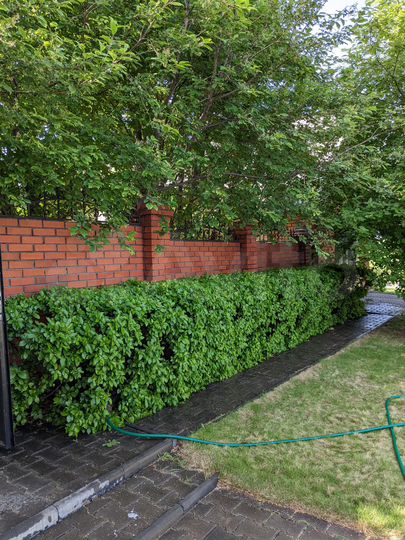 Коттедж 107 м² на участке 5,9 сот.