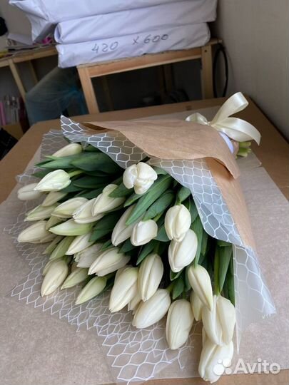 Тюльпаны оптом и в розницу