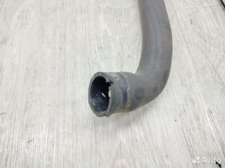 Патрубок системы охлаждения Ford Focus CB8 iqdb