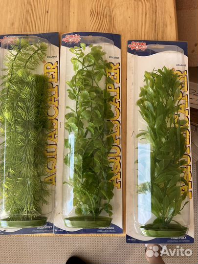 Водоросли для аквариума