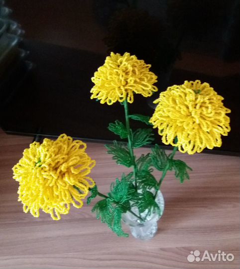 Хризантемы