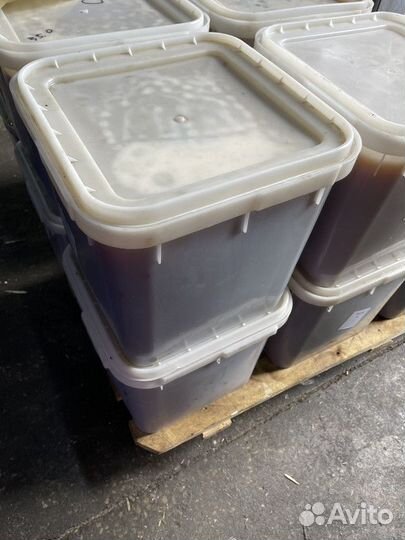 Мед оптом от пчеловода