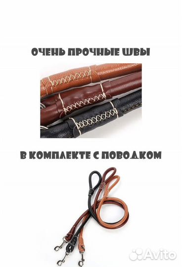Ошейник для собак с поводком