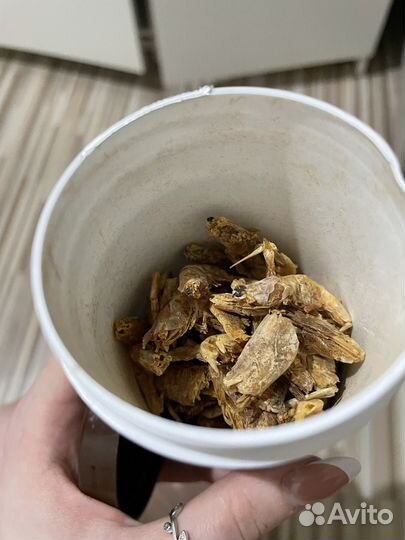 Комбикорм для черепах