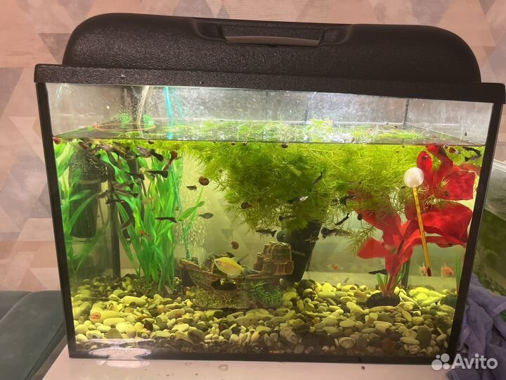 Продам Аквариум На 50 литров