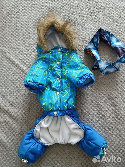 Одежда для маленьких собак