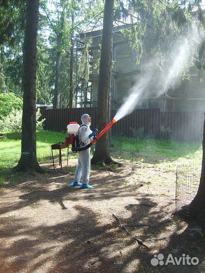 Обработка участка от комаров,тли,мошек, клещей