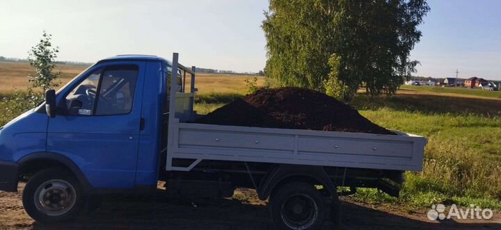 Конский перегной