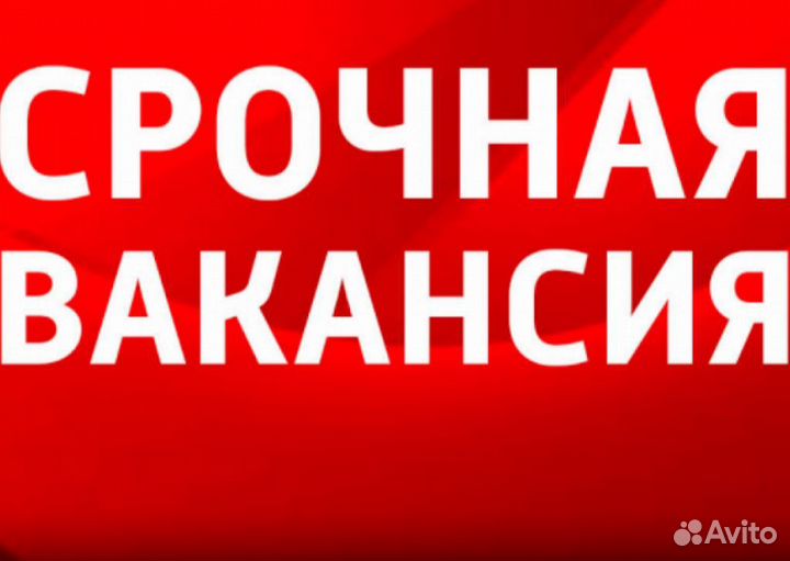 Продавец консультант