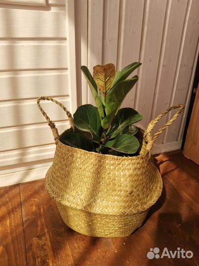 Корзина интерьерная из водорослей