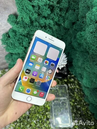 iPhone 8 Plus, 256 ГБ