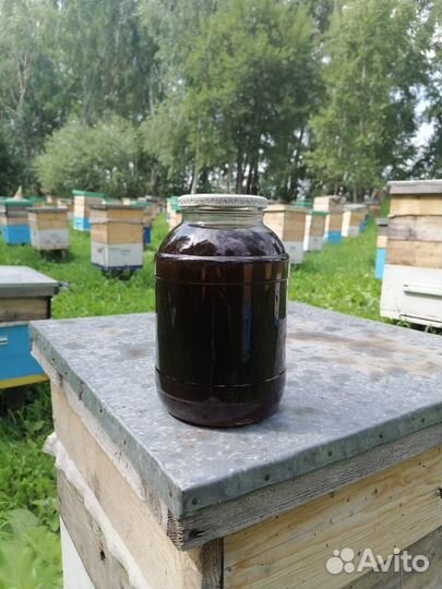 Продам мед оптом