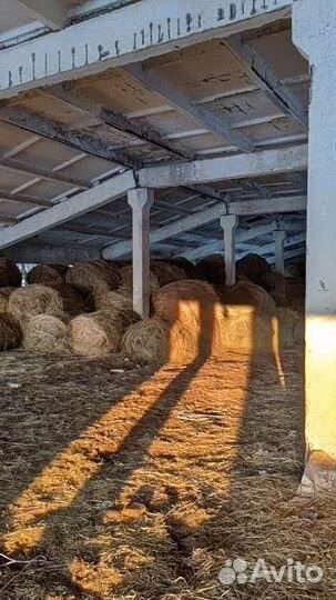 Плиты перекрытия стеновые бу