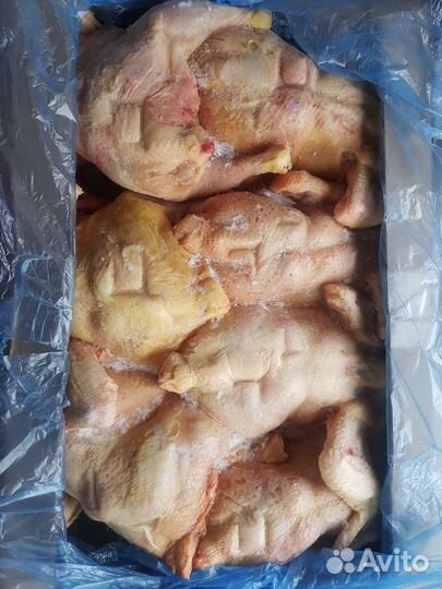 Домашняя курица, тушка ГОСТ