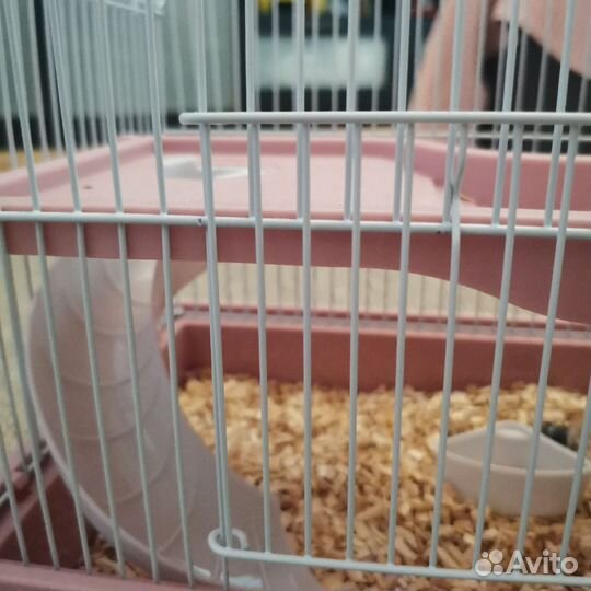 Клетка для грызунов пластиковая