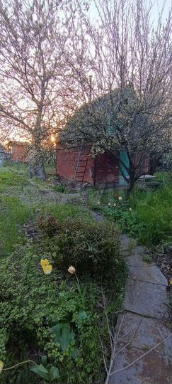 Дача 20 м² на участке 5 сот.