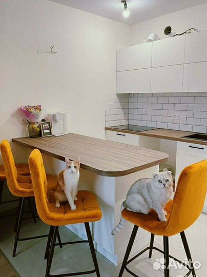 Полубарный стул Фред