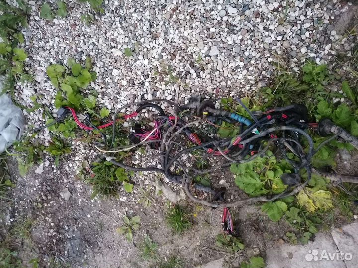 Жгут проводов эбу ваз kalina