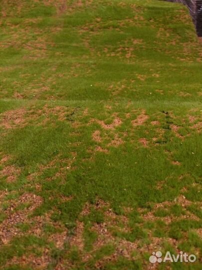 Мох искусственный 