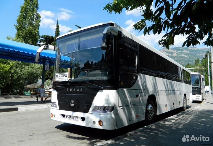 Автобус на заказ