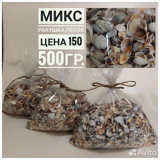 Ракушка для творчества