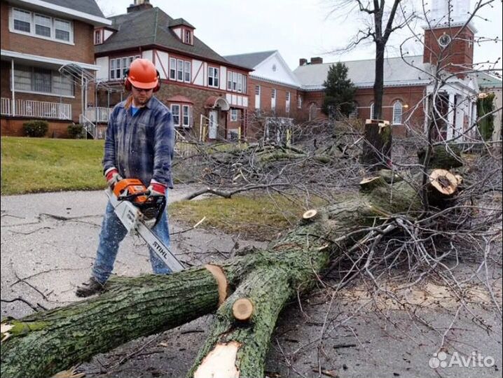 Покос травы, спил деревьев, стрижка кустарников