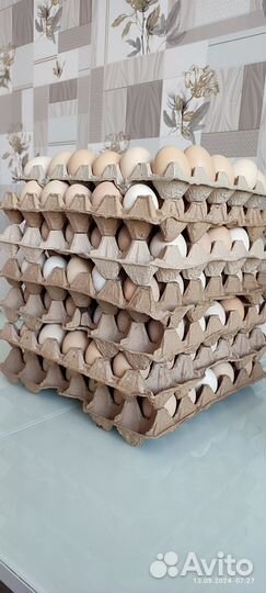 Домашние куриные яйца