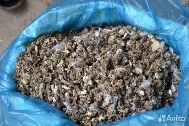 Перепелинный помет как удобрение