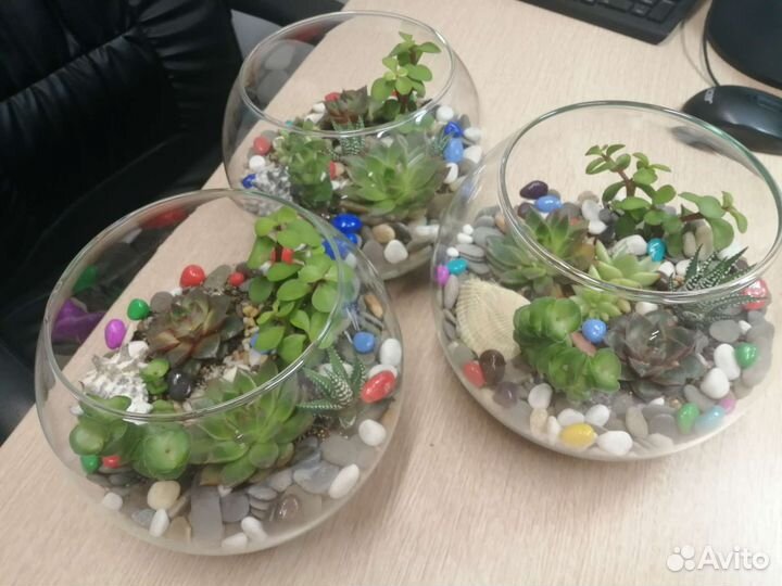Флорариум-эко-подарок