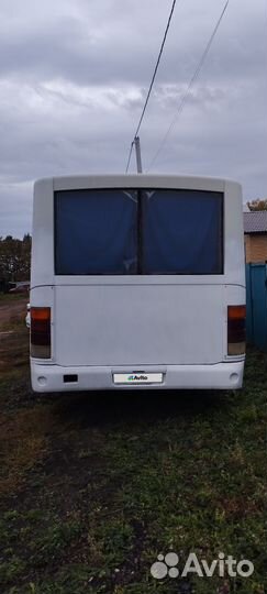 Городской автобус ПАЗ 320402-03, 2011