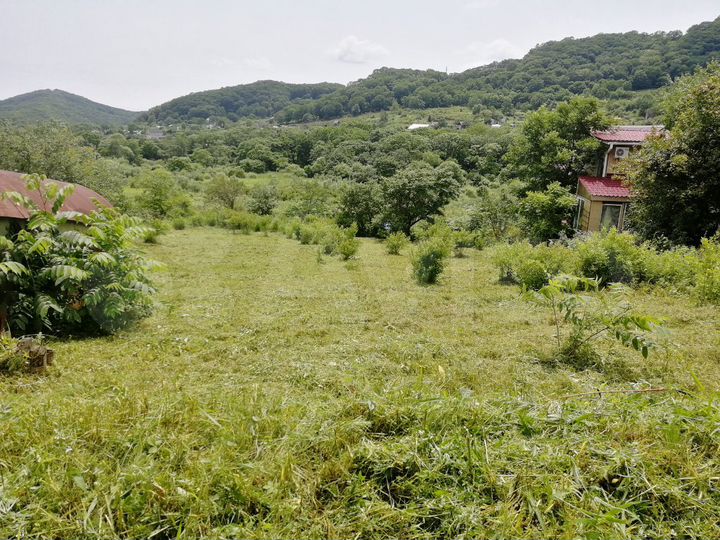 Участок 10 сот. (СНТ, ДНП)