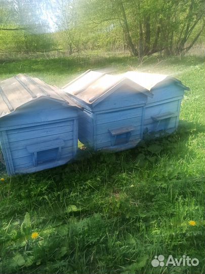 Улей для пчел