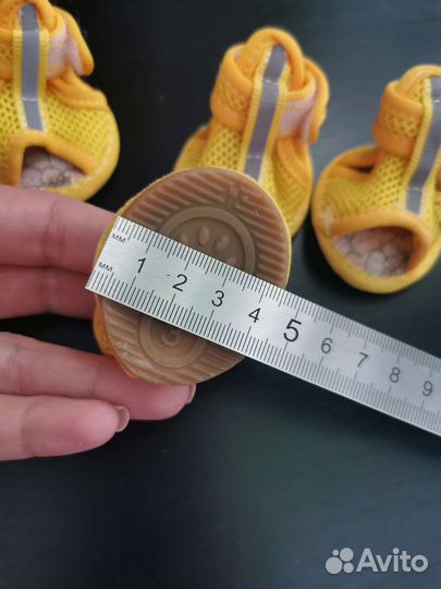 Сандалии для собак