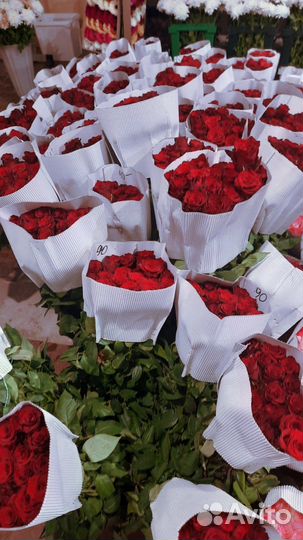 Цветы Розы Оптом и в Розницу