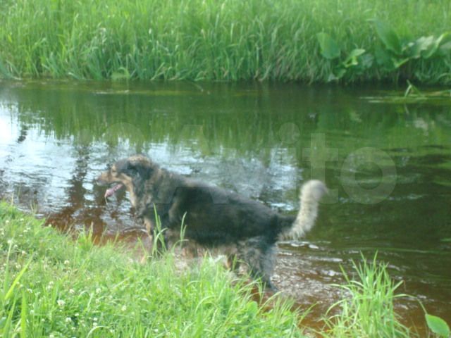 2-к. квартира, 42,4 м², 2/2 эт.