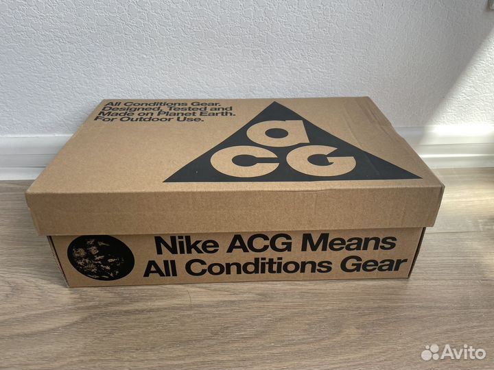 Nike acg mountain fly 2 low