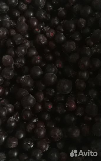 Черноплодная рябина (черноплодка)