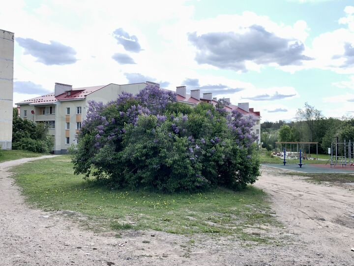 1-к. квартира, 34,1 м², 1/3 эт.