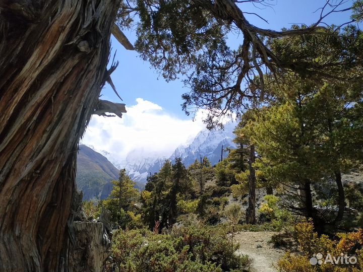 Путешествие в Непал Тур к дому Шивы v-8047