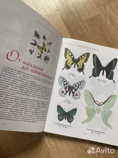 Атлас животных