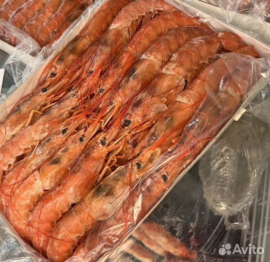 Лангустины с головой