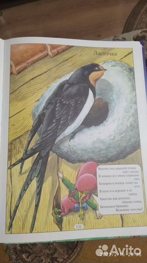 Большая энциклопедия животных