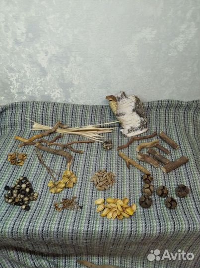 Спилы и природные заготовки для рукоделия